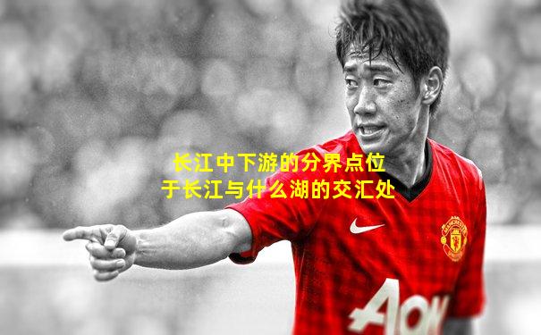 长江中下游的分界点位于长江与什么湖的交汇处