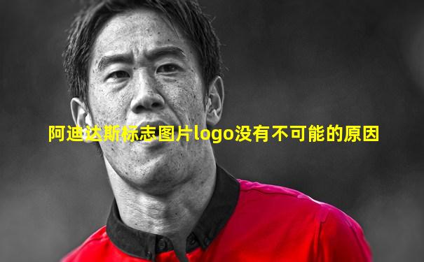阿迪达斯标志图片logo没有不可能的原因