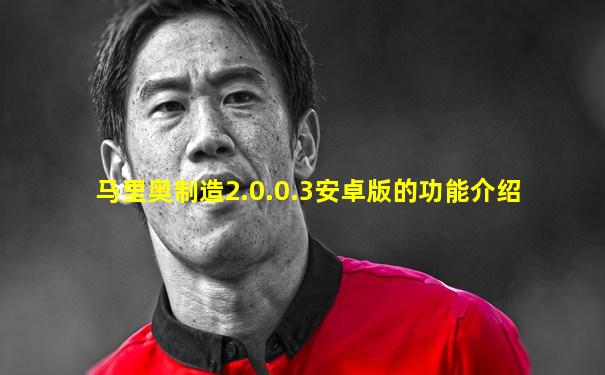 马里奥制造2.0.0.3安卓版的功能介绍