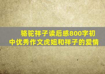 骆驼祥子读后感800字初中优秀作文虎妞和祥子的爱情