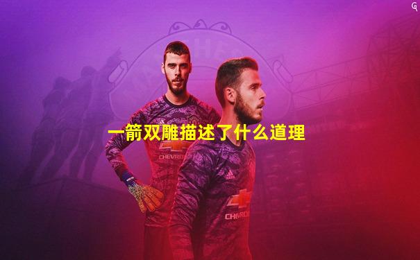 一箭双雕描述了什么道理