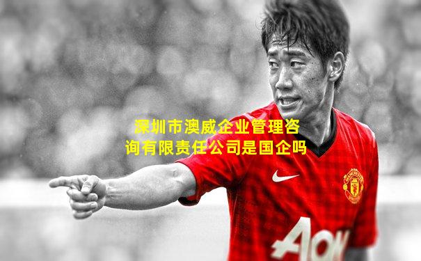 深圳市澳威企业管理咨询有限责任公司是国企吗