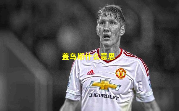 盖乌斯什么意思