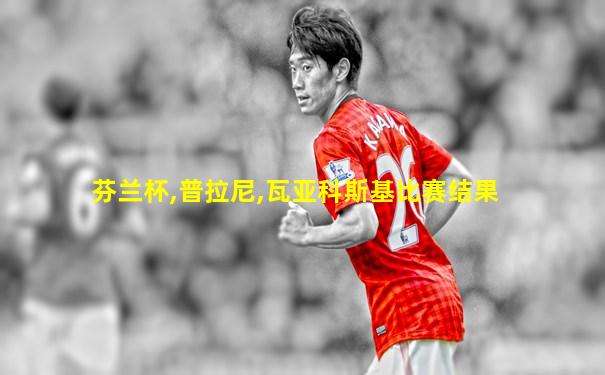 芬兰杯,普拉尼,瓦亚科斯基比赛结果